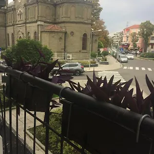 Apartment мони